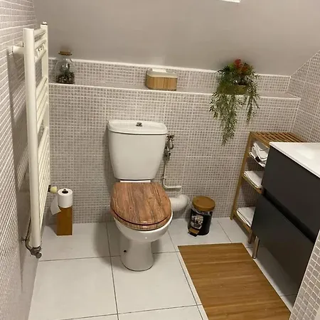 Holiday home Charmante Maison A Avec Terrasse Et Jardin Cloture Troyes